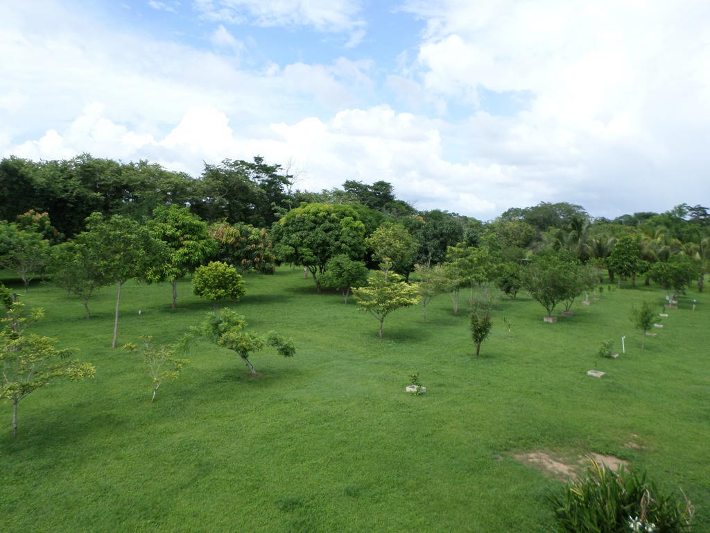 River Park Inn San Ignacio Exterior photo